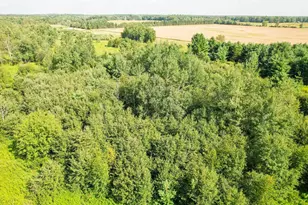 7218 Cty Road Hh, Vesper, WI 54489 - Photo 29