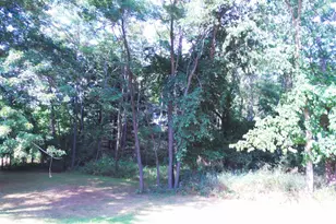 N11196 12th Ave, Necedah, WI 54646 - Photo 33