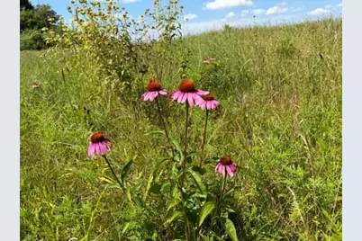 S5050 Durwards Glen Road, Baraboo, WI 53913 - Photo 69