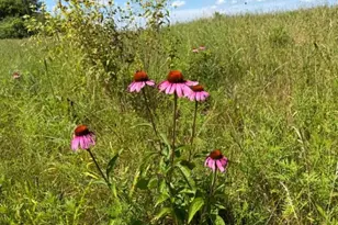 S5050 Durwards Glen Rd, Baraboo, WI 53913 - Photo 69