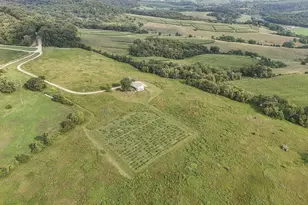 3138 W Mitchell Rd, Hanover, IL 61041 - Photo 9