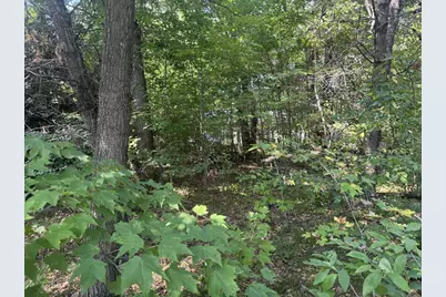250 White Oak Lane, Lake Delton, WI 53965 - Photo 1