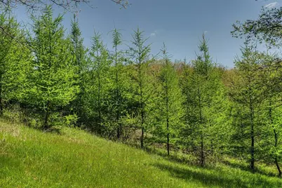 70 Ac Harris Street, La Farge, WI 54639 - Photo 7