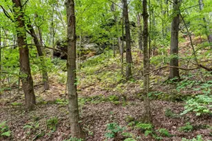8237 Sweeney Rd, Barneveld, WI 53507 - Photo 47
