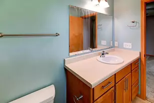 9305 Briar Haven Dr, Madison, WI 53593 - Photo 43