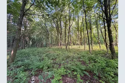 000 County Hwy Cm, Tomah, WI 54660 - Photo 45