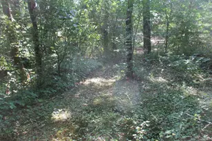 S4129 Ableman Rd, Rock Springs, WI 53961 - Photo 71