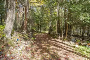 N8840 W Pickerel Lake Rd, Gleason, WI 54435 - Photo 17