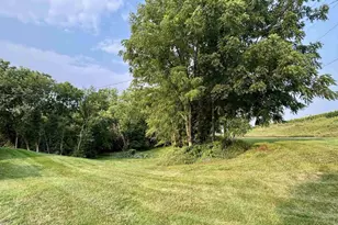 306 W 1st St, Cambria, WI 53923 - Photo 65