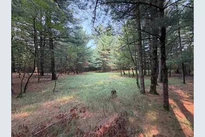 201 N Juneau, Adams, WI 53910 - Photo 21
