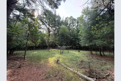 201 N Juneau, Adams, WI 53910 - Photo 23