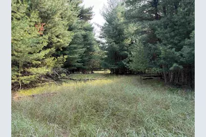 201 N Juneau, Adams, WI 53910 - Photo 17