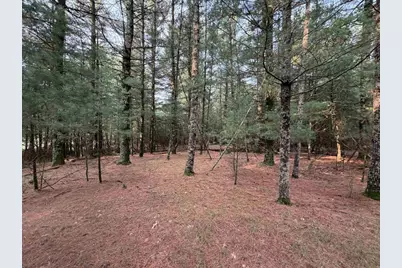 201 N Juneau, Adams, WI 53910 - Photo 15