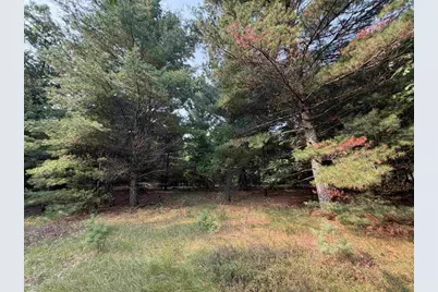 201 N Juneau, Adams, WI 53910 - Photo 13