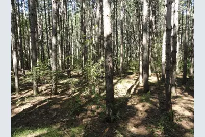 Lot 15 Clearview Rd, Necedah, WI 54646 - Photo 33