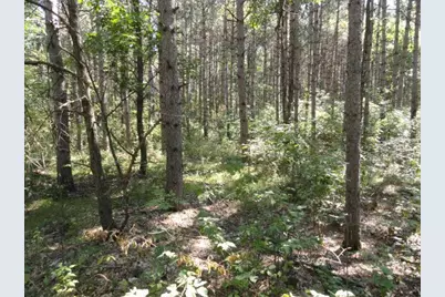 Lot 15 Clearview Rd, Necedah, WI 54646 - Photo 29