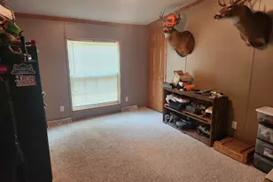 31020 Exodus Ave, Warrens,warrens, WI 54666 - Photo 21