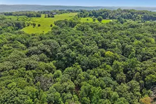 N3640 Tipperary Rd, Lodi, WI 53955 - Photo 35