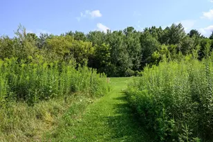 1825 Bringold Dr, Verona, WI 53593 - Photo 51