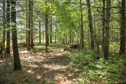 W7361 12th Avenue, Necedah, WI 54646 - Photo 37