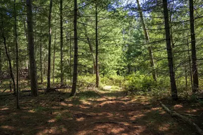 W7361 12th Avenue, Necedah, WI 54646 - Photo 27