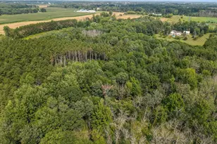 N6547 Buelow Rd, New London, WI 54961 - Photo 69