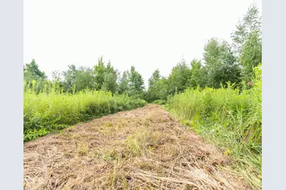 N15193 10th Avenue, Necedah, WI 54646 - Photo 29
