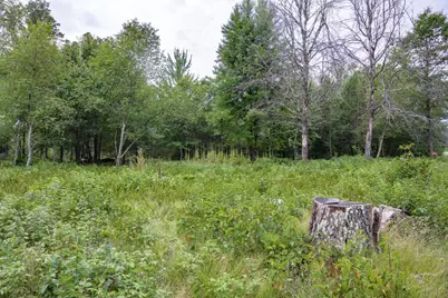 N13230 17th Avenue, Necedah, WI 54646 - Photo 3
