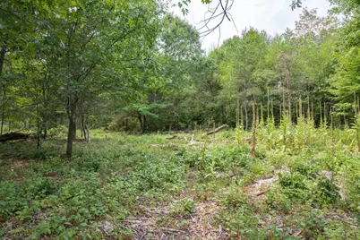 N13230 17th Avenue, Necedah, WI 54646 - Photo 11