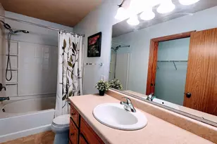 9412 Briar Haven Dr, Madison, WI 53593 - Photo 29