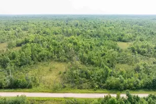 40 Ac 9th Ave Acres, Necedah, WI 54646 - Photo 1