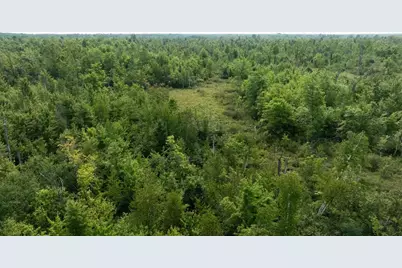 40 Ac 9th Ave Acres, Necedah, WI 54646 - Photo 9
