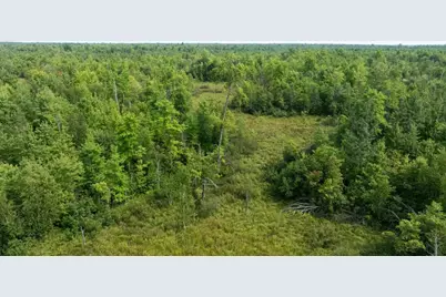 40 Ac 9th Ave Acres, Necedah, WI 54646 - Photo 11