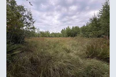 40 Ac 9th Ave Acres, Necedah, WI 54646 - Photo 7