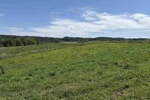 W10864 Santas Loop Rd, Wonewoc, WI 53968 - Photo 37