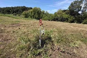 W10864 Santas Loop Rd, Wonewoc, WI 53968 - Photo 33