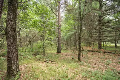 Lot 43 Morros Mile Road, Necedah, WI 54646 - Photo 1