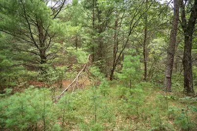 Lot 43 Morros Mile Road, Necedah, WI 54646 - Photo 13