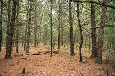 Lot 43 Morros Mile Road, Necedah, WI 54646 - Photo 11