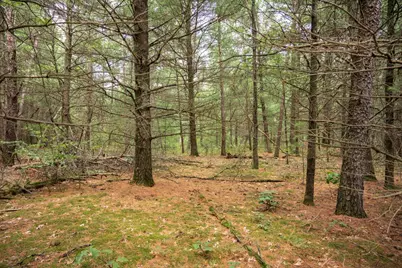 Lot 43 Morros Mile Road, Necedah, WI 54646 - Photo 21