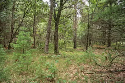 Lot 43 Morros Mile Road, Necedah, WI 54646 - Photo 15