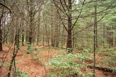Lot 43 Morros Mile Road, Necedah, WI 54646 - Photo 3