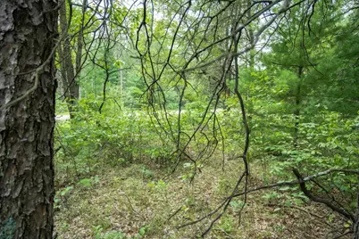 Lot 44 Morros Mile Road, Necedah, WI 54646 - Photo 3
