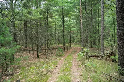 Lot 44 Morros Mile Road, Necedah, WI 54646 - Photo 7