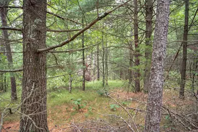 Lot 44 Morros Mile Road, Necedah, WI 54646 - Photo 9