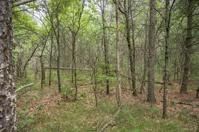 Lot 44 Morros Mile Road, Necedah, WI 54646 - Photo 11