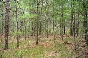 Lot 44 Morros Mile Rd, Necedah, WI 54646 - Photo 1