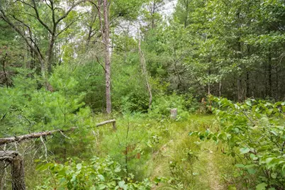 Lot 44 Morros Mile Road, Necedah, WI 54646 - Photo 15