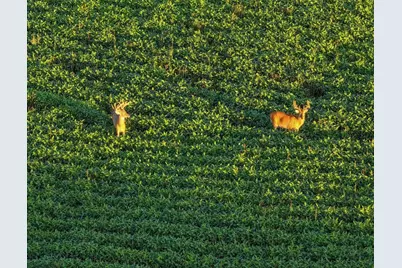 169.75� Acres Stump Ridge Road, Viroqua, WI 54665 - Photo 27