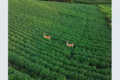 129.53� Acres Stump Ridge Road, Viroqua, WI 54665 - Photo 21